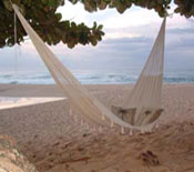 Hammocks