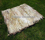 Palm Thatch