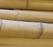 Natural Bamboo Poles