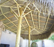Underside of a Two Pole Palm Palapa