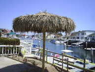 Palm Palapa