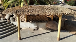 12x24 Oval Palmex Synthetic Palm Tiki Hut