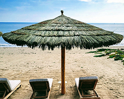 Example: 13ft Tahitian, Thatch Save Net, Cedar Stain