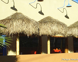 7 Foot Mex. Palm Palapa Examples7 Foot Mex. Palm Palapa Examples