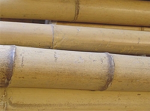Bamboo Poles