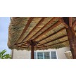 Example: 8x15 Tahitian Palm 2 Pole Palapa, Canyon Brown Stain Option 