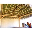 10x10 Mexican Palm - Underside View 