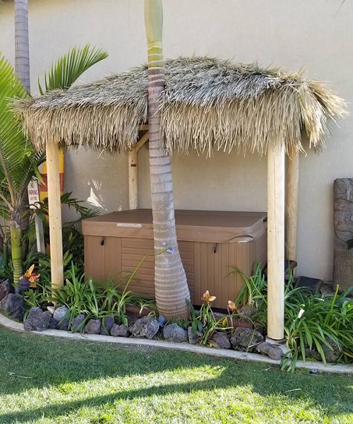 10x10 Mexican Palm - (custom cutout shown) 