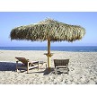 12' Mexican Palm Palapa 