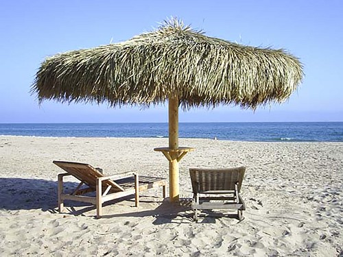 12' Mexican Palm Palapa 