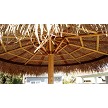 12' Underside View 