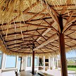 Example: 2x2 Black netting under Mexian Palm Thatch 