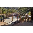 12x24 Oval Palmex Synthetic Palm Tiki Hut 