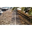 Example: Palmex Thatch Ridge Cap installed 