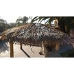 12x24 Oval Palmex Synthetic Palm Tiki Hut 