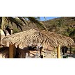 12x24 Oval Palmex Synthetic Palm Tiki Hut 