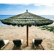 Example: 13ft Tahitian, Thatch Save Net, Cedar Stain 