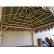 10x10 Mexican Palm - Underside View 