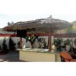 10x19 Tahitian Palm 2 Pole Palapa, Canyon Brown Stain Option 