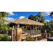 Performance Palm Thatch Installation Example. Color: New Palm 