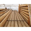 6" Poles 