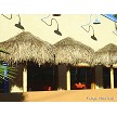 7 Foot Mex. Palm Palapa Examples7 Foot Mex. Palm Palapa Examples 