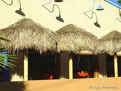 7 Foot Mex. Palm Palapa Examples7 Foot Mex. Palm Palapa Examples 