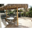 7x14 Mexican Palm 2 Pole 