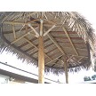 7x14 Mexican Palm 2 Pole 