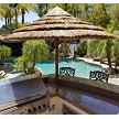 9' African Reed Palapa Pictured 