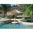 9' Mexican Palm Palapa 