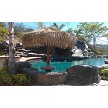 9' Mexican Palm Palapa 
