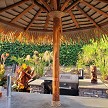 9ft Palmex Palapa w/Rails Underside View 