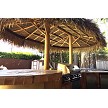 9x18 Mexican Palm Palapa Underside 