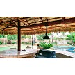 13x25 Foot Tahitian Palm Palapa - Canyon Brown Option Shown 