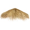 Top Side View Mexican Palm Thatch 
