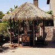 Palmex Thatched Roof with Roof Cap 