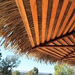 Example: Palmex on Purlins (no rials) 