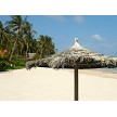 8 Foot Tahitian Palm Palapa 