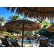 Viro Java Palapa Umbrella 