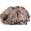 Viro Mex Rain Cape Top- Bottom View 