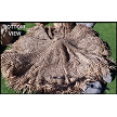 Viro Mex Rain Cape Bottom 