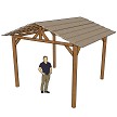10x10 Mexican Palm - (custom cutout shown) 