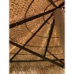 Option Example: Viro Synthetic Mexican Palm (wrong frame shown) 