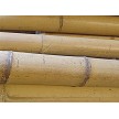 Bamboo Poles 