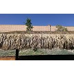 Example: 2x2 Black Thatch Save Net Over Mexican Palm Thatch 