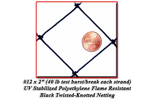 2x2 Thatch Save Net Scale Image 