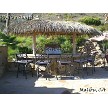 Option Example: Synthetic Palmex Thatch 
