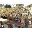 Palmex Rio Synthetic Thatch over tiki bar 
