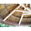 7' African Reed Palapa w/Pine Frame Option 